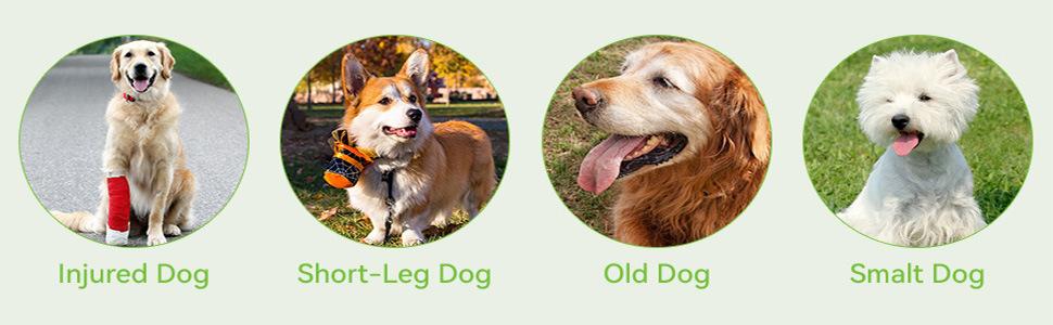 Multifunctional Foldable Pet Stairs 2-in-1 Non Slip Dog Step Stool Anti-Scratch Wear Resistant Portable Pet Ramp Ladder for Small Dogs Cats