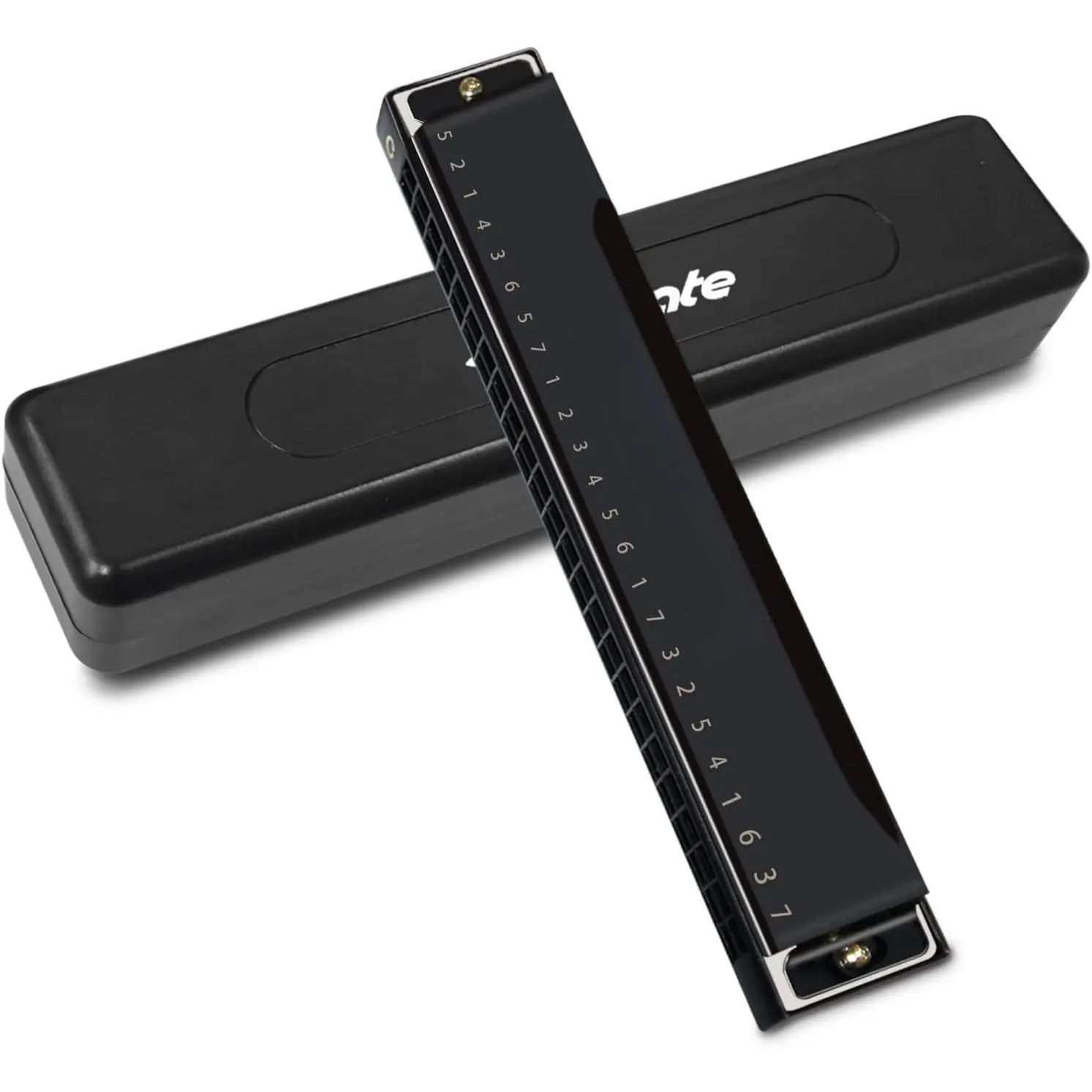 Blues Harmonica 24 Hole C Key with Case, Mouth Organ Harp, Diatonic Harmonica for Beginner, Adult, Professional, Students, , Gifts, Black