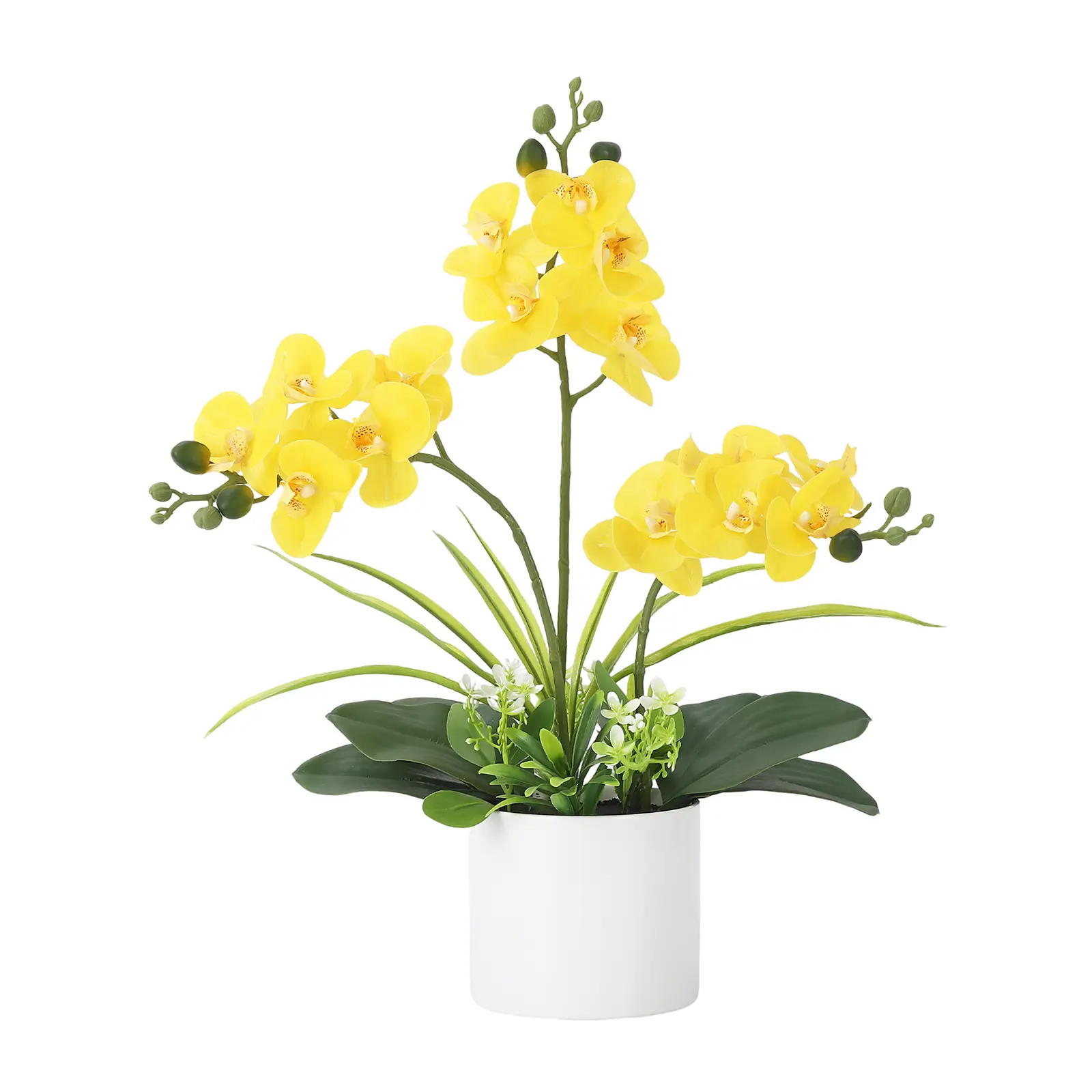 Real Touch Artificial Phalaenopsis Orchid in Vase – Lifelike Silk Faux Flowers, Low Maintenance, Home Office or Wedding Table Centerpiece
