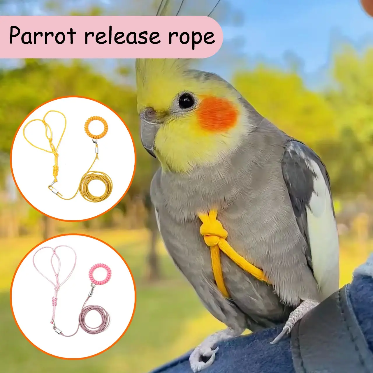 Bird Harness Flight Training Elastic Rope 2m, Parrot Harness Supplies with Multiple Sizes and Colors, Suitable for Parrots, Pigeons, Golden Sun Conures