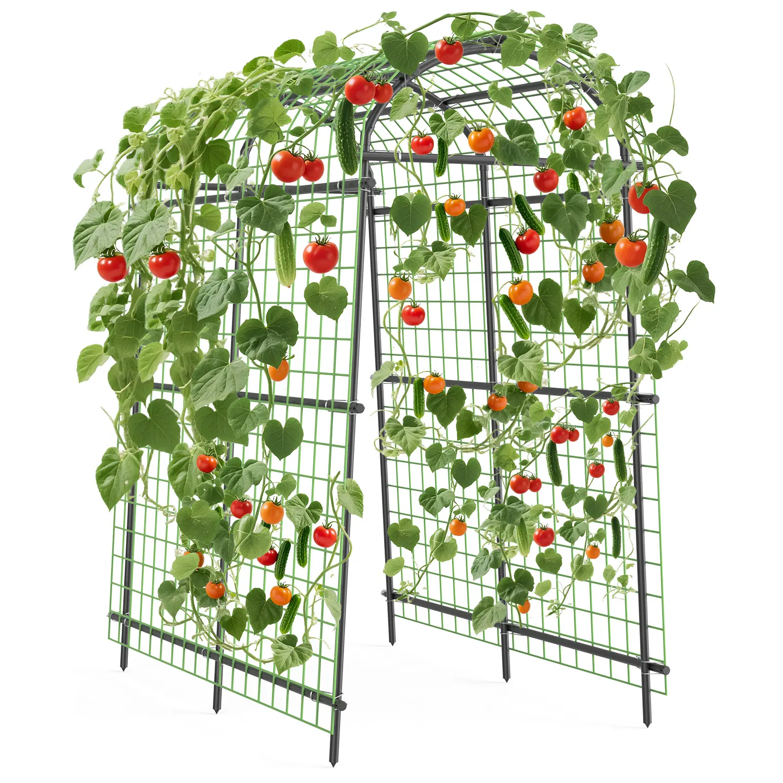 7.5FT Extra Tall Metal Garden Arch Trellis with Wire Mesh, Heavy Duty Steel PE Coated Arbor Pergola for Climbing Vines Vegetables Flowers, Outdoor Backyard Wedding Decor Easy Assembly