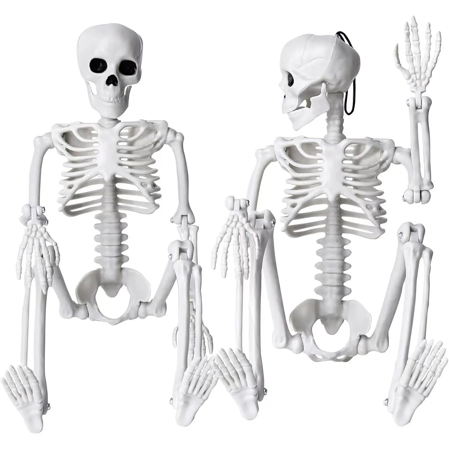 2 count Skeleton Halloween Decoration, 16”  Plastic Skeleton | Full  Posable Skeleton Movable Joints for Halloween Decoration Indoor Outdoor