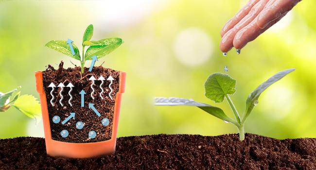 6pcs Organic Coco Coir Bricks Soil Blocks- 100% Natural Compressed Coco Peat Brick Fiber Substrate with Low EC& pH, High Expansion Coco Coir Pith Husk for