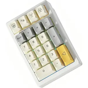 TD21 Hot Swap Numpad,21  Mini Numpad Portable Keypad Bluetooth5.0/2.4G/Wired Number Pad Keyboard PBT Keycaps RGB Backlit Type-C Mini Keyboard (Heavy Industry XDA Keycaps)