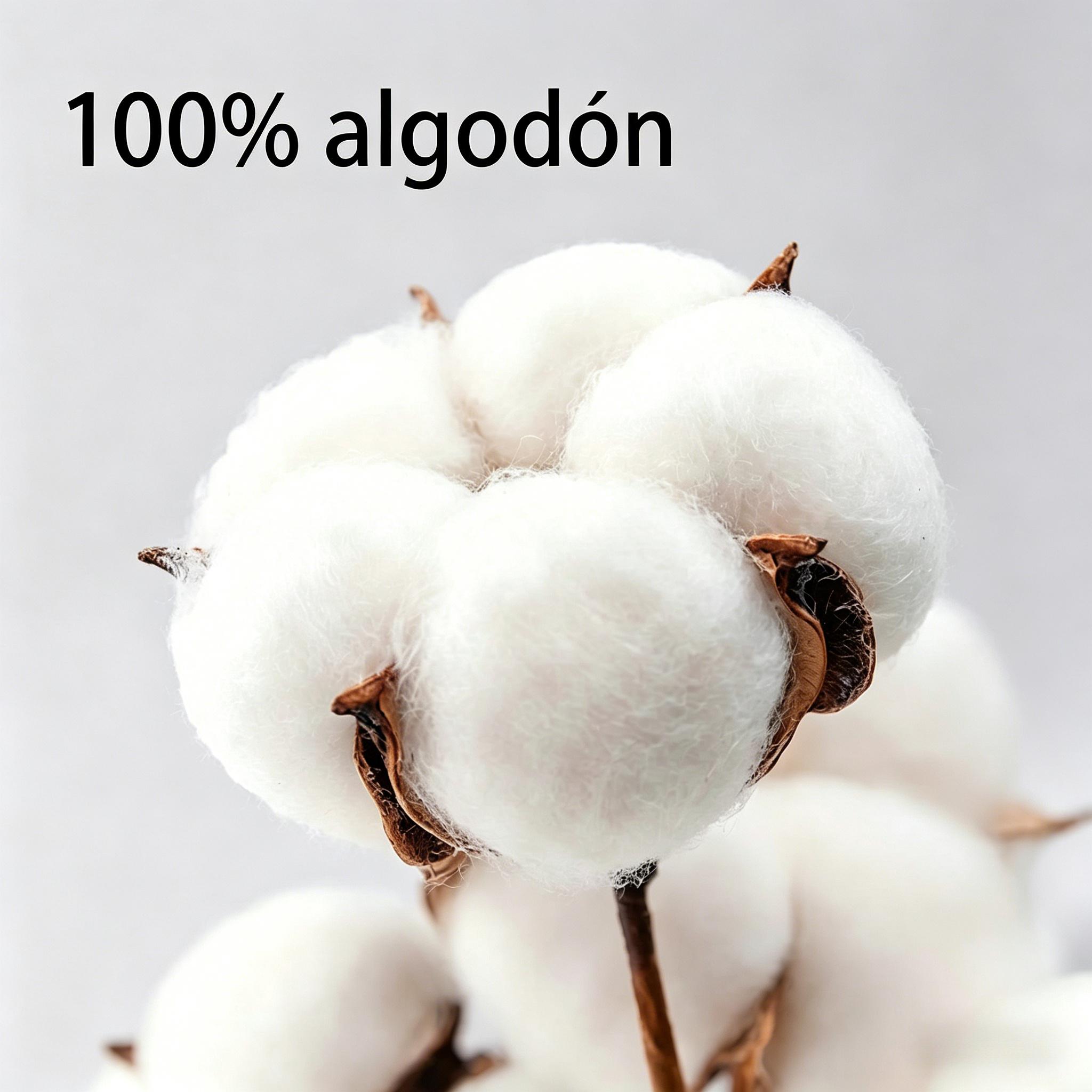 My Hero Academia Shoto Todoroki T-Shirt |   Vintage Anime Graphic Tee