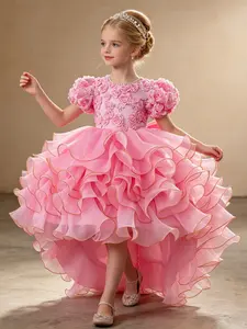 New Dress Rose Embroidered Bow Cake Skirt Tail Party Hostess Costume, Floral Pattern All Seasons Kids Clothing