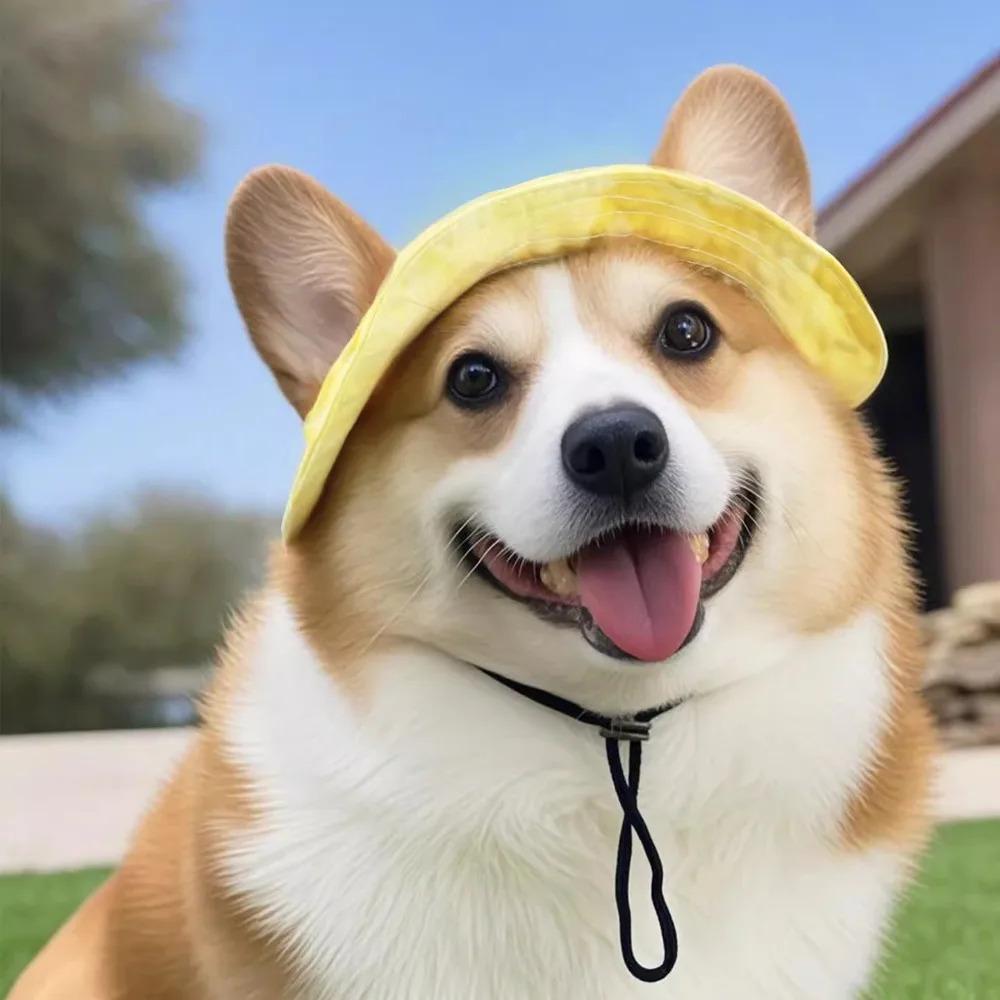 Dog Cotton Sun Hat With Ear Holes Round Brim Puppy Kitten Bucket Hat Outdoor Sun Protection Pet Caps for Small Medium Cat Dogs