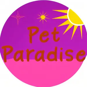 background preload poster image 