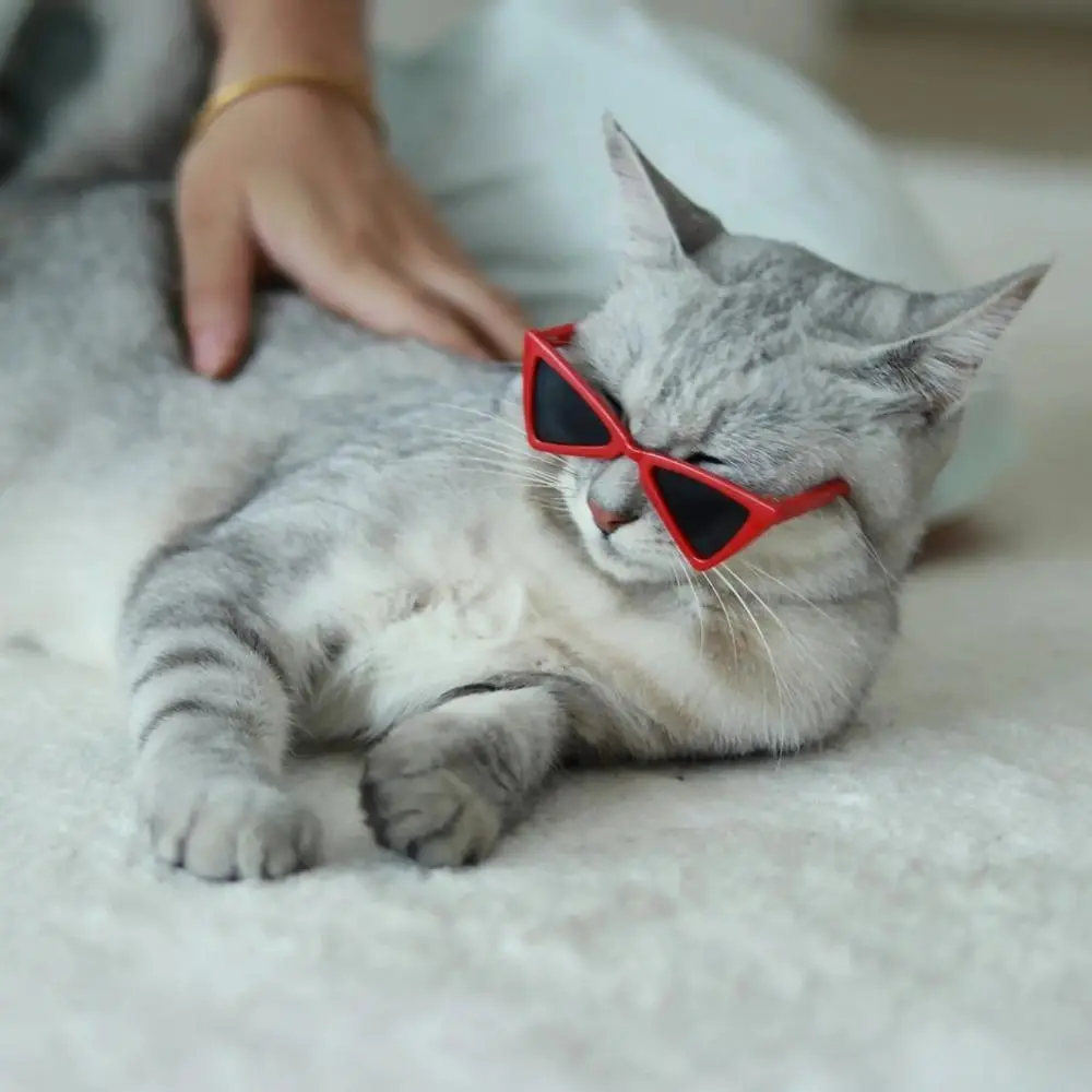 2Pcs Stylish Triangular Pet Sunglasses, Trendy Decorative Eyewear for Small Dogs & Cats, Cool Creative Pet Accessories Ideal for Photoshoots & Daily Outdoor Styling, Adjustable Strap, Decorative Goggles