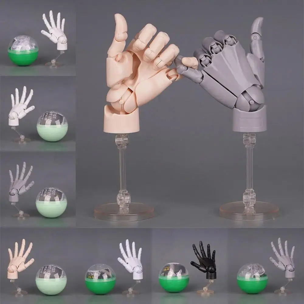 1:2 Scale Human Hand Model Mini Size Movable Joints Articulated Action Figure Twisted Egg Design With Posable Fingers