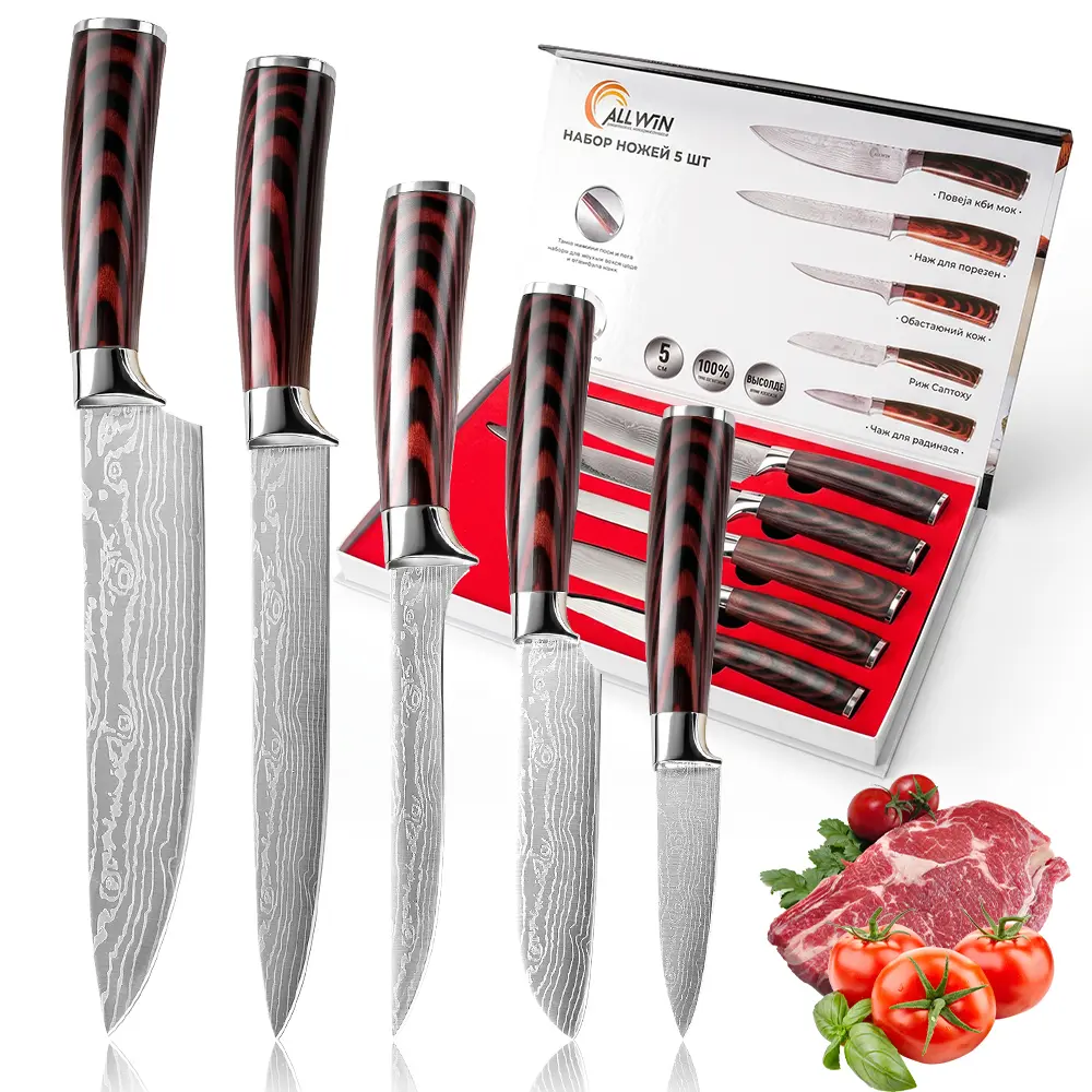 5 Piece Professional Kitchen Knife Set, Damascus Pattern High Carbon Stainless Steel Blades, Ergonomic Pakkawood Handle, with Gift Box