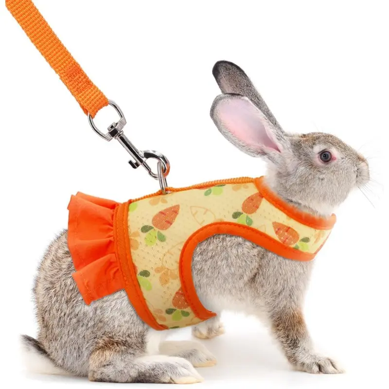 Bunny Rabbit Harness and Leash Set Guinea Pig Mesh Vest Adjustable Clothes Escape Proof Walking Puppy Small Animal Pets Squirrel Ferret Harness Leash