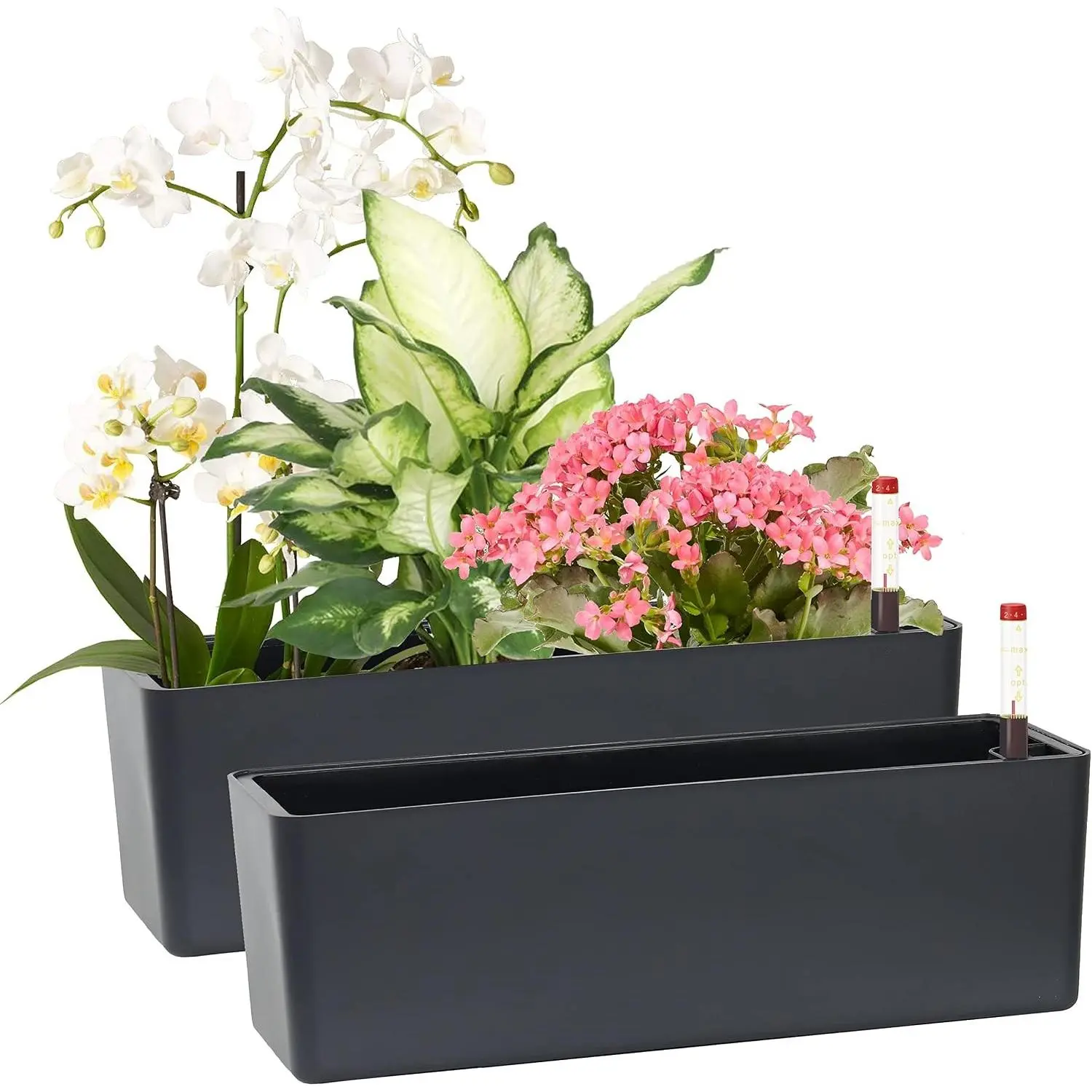 Elongated Self Watering Planter Pots 2-Pack Window Box 5.5 x 16 inch Indoor Home Garden Modern Decorative Pot for All House Plants Flowers Herbs (Dark Grey,2)