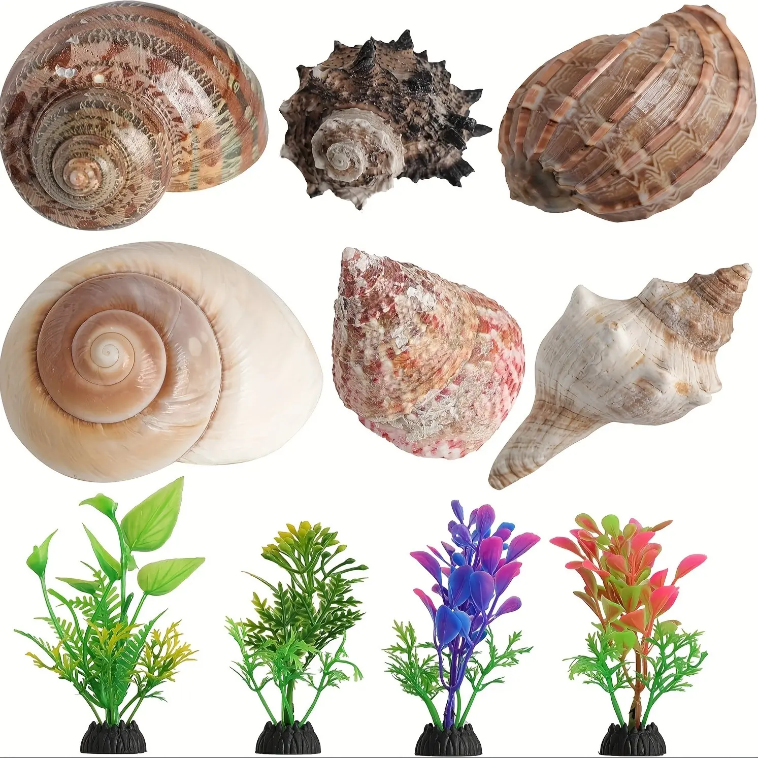 6 Pcs Hermit Crab Shells Medium Growth Turbo Seashells, Pet Supplies Conch Habitat Decor, 4 Artificial Plants, Aquarium Supplies, Aquarium Decorations, Fish Tank Decor