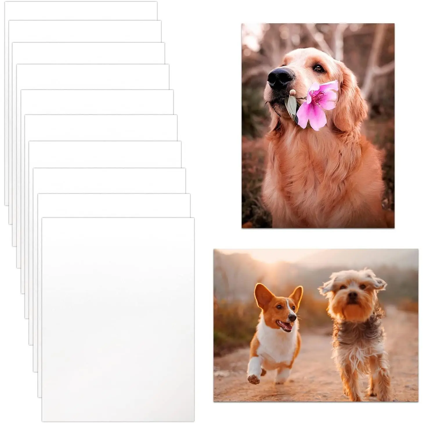 10 Pack Sublimation Metal Blanks, 4x6 Photo Sign Blank | 0.45mm Thicker , & Fade-Resistant Printing Effect for DIY Photo, Poster,  Decor & Personalized Present