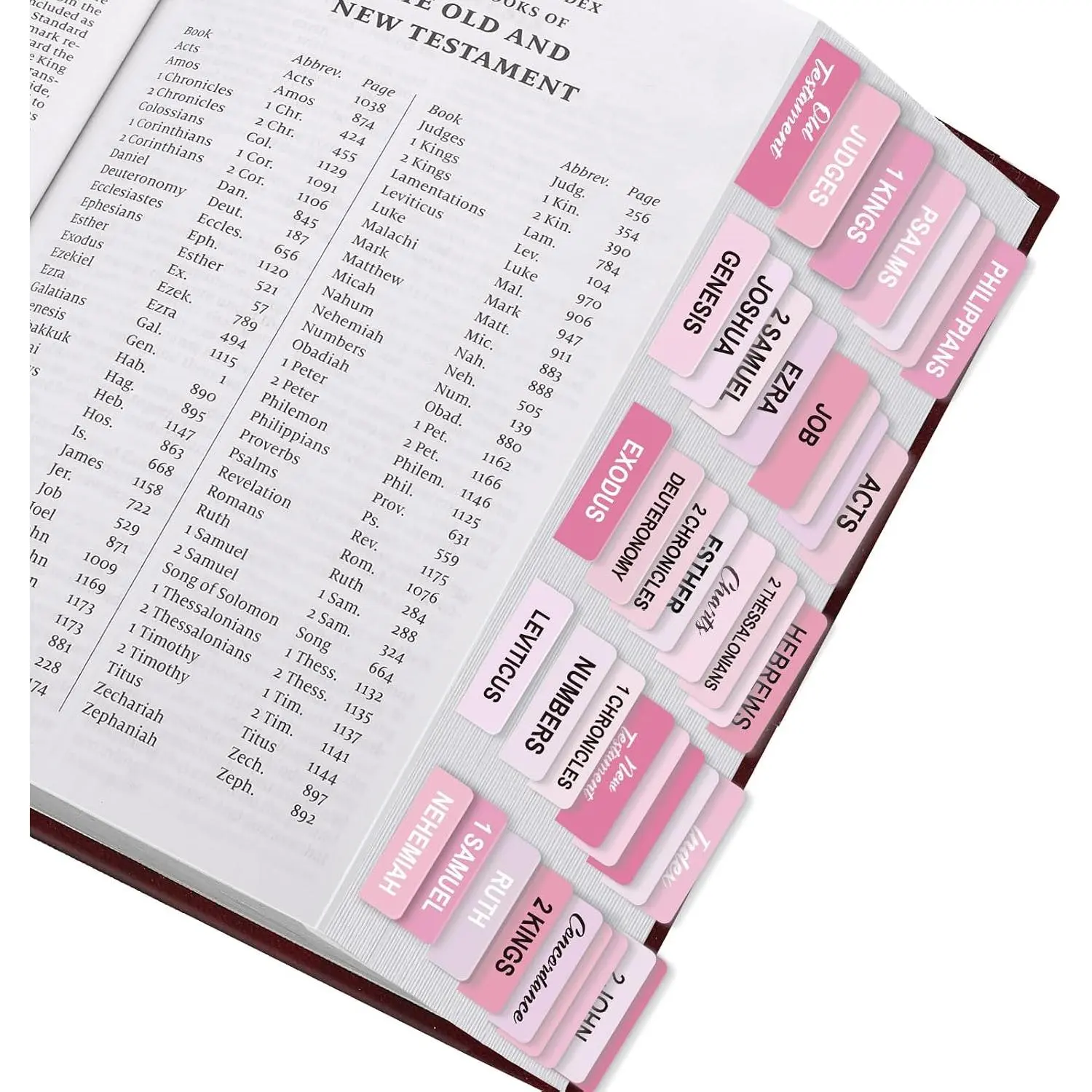 Laminated Study Tabs - 100 Pcs Office Index Dividers, Large Font Bible Books Index Guide for Office Organization & Men/Women, Laminated Tabs, Indexing Aid