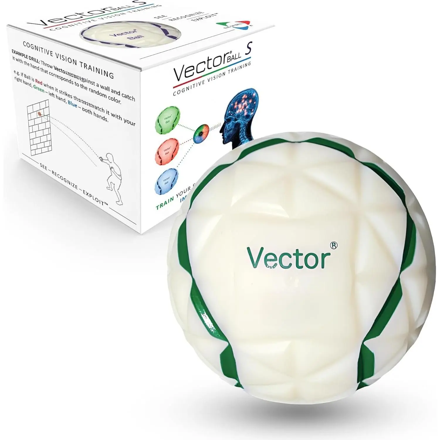 Vector  S Neuro-Visual Reacti  for Improving  Quickness, Focus, Agility, Speed, Hand  Coordinati - ,  Color-Changing Reflex Trainer - Cognitive  Tool