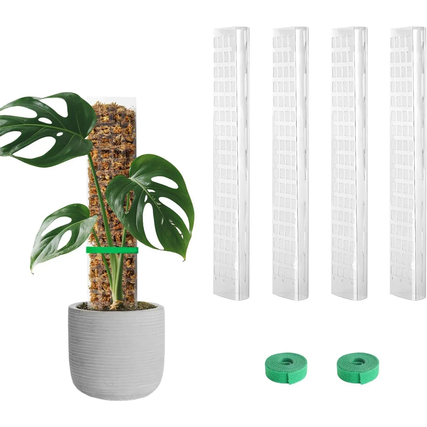 Plastic Moss Pole for Monstera and Climbing , 24-Inch, 2-Pack