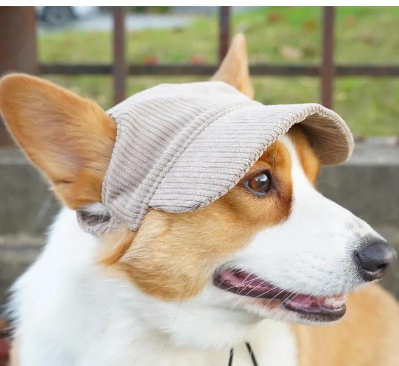 Pet Dog Cap with Ear Holes Adjustable String Dogs Cats Outdoor Peaked Cap Cat Summer Sport Hat For Puppy Small Medium Large Dogs