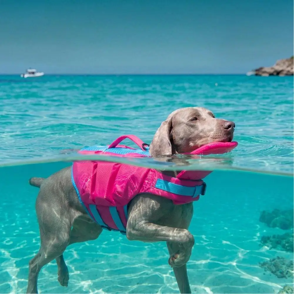 Strong Buoyancy Dog Life Jacket Dog Lifesaver Pet Swimming Suit Summer Safety Life Vest for Medium Large Dogs Golden Retriever