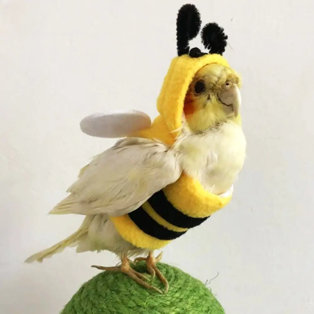 Bee Pattern Bird Costume, Cute Cosplay Outfit for Small Parrots, Warm and Funny Autumn Winter Wear, Size S, Cosplay Look, Warm Fabric