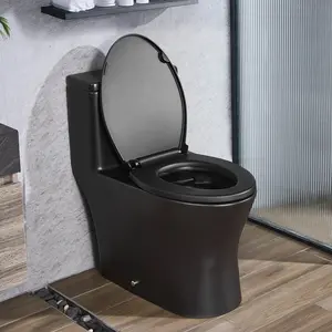 VEVOR One-Piece Toilet, Elongated Toilet Vortex Dual-Flush 1.0/1.28 GPF, Toilets for Bathroom with Comfortable Chair Seat, Standard Height, Easy-Clean Skirted Design, 12 inch Rough-In, Black + Silver