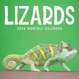 Lizards 2026 Calendar | Reptile Monthly Wall Planner | Geckos, Bearded Dragon, Chameleons, Iguana, Skink, Agama | Planner 2026-2027 |  | 12" x 24" Open | Sustainable | Plastic Free | Printed  Thick Art Paper