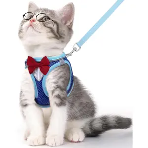 Escape Proof Cat Vest Harness and Leash Set for Walking, Adjustable Breathable Mesh Kitten Harness with Reflective Strips for Small Cats, Outdoor Indoor Use