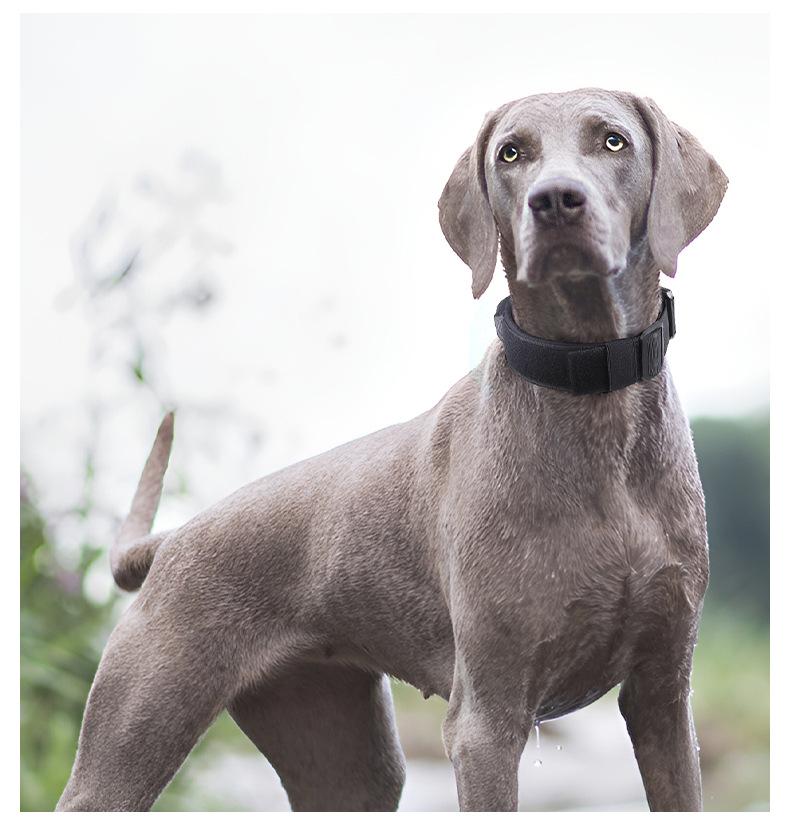 Premium Heavy-Duty Nylon Dog Collar - Extra Wide, Padded, with Stainless Steel Buckle Adjustable Pet Collar, Durable Dog Collar for Medium Large Dogs Cats for Outings, Dog Supplies, Pets Supplies, Christmas Gift