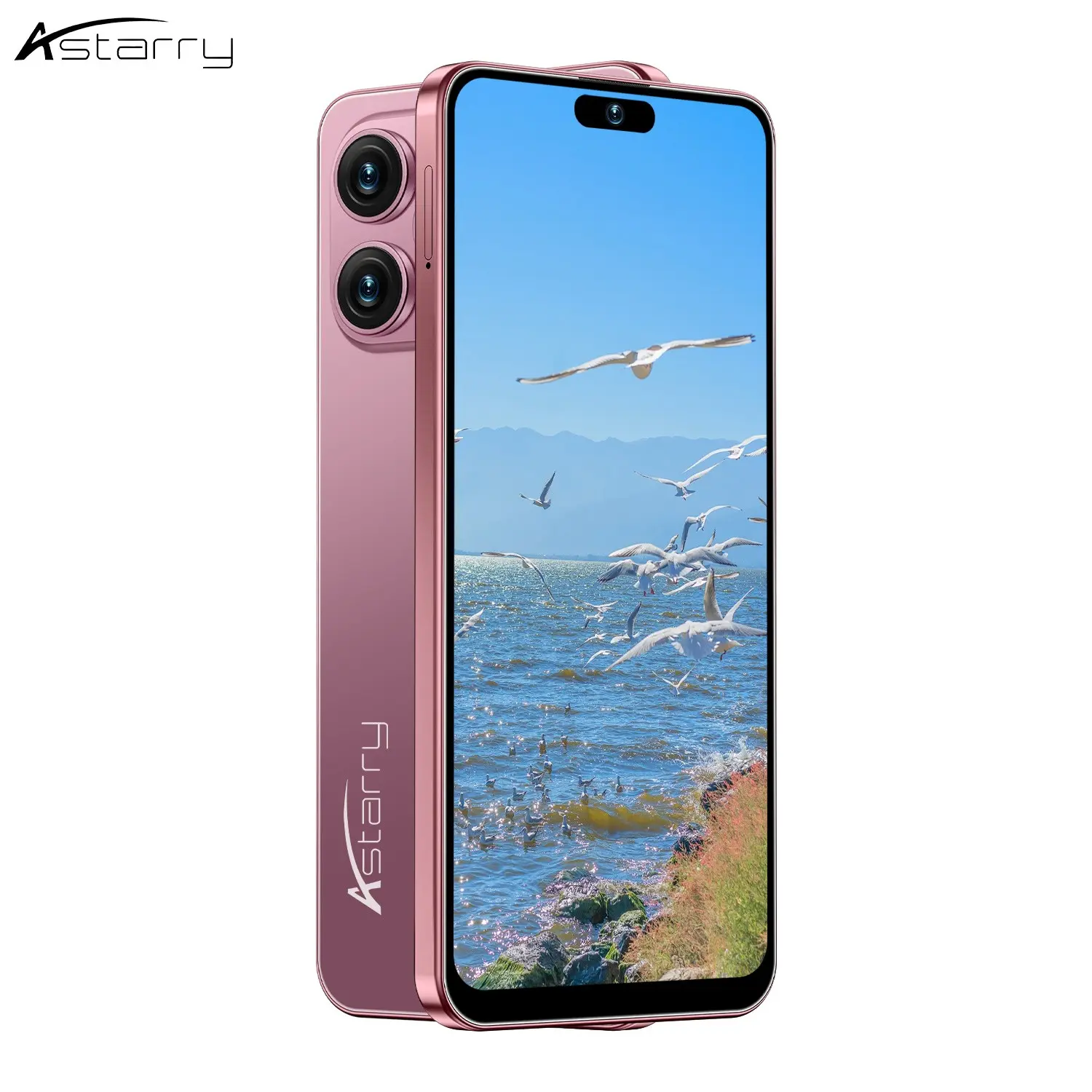 Astarry-17 Pro Max 4g Unlocked Smartphone, Android Mobile Phone, Android 12.0, 6.93-Inch Display, 6gb+64GB RAM, 5000mah Battery, Dual Sim, Touchscreen
