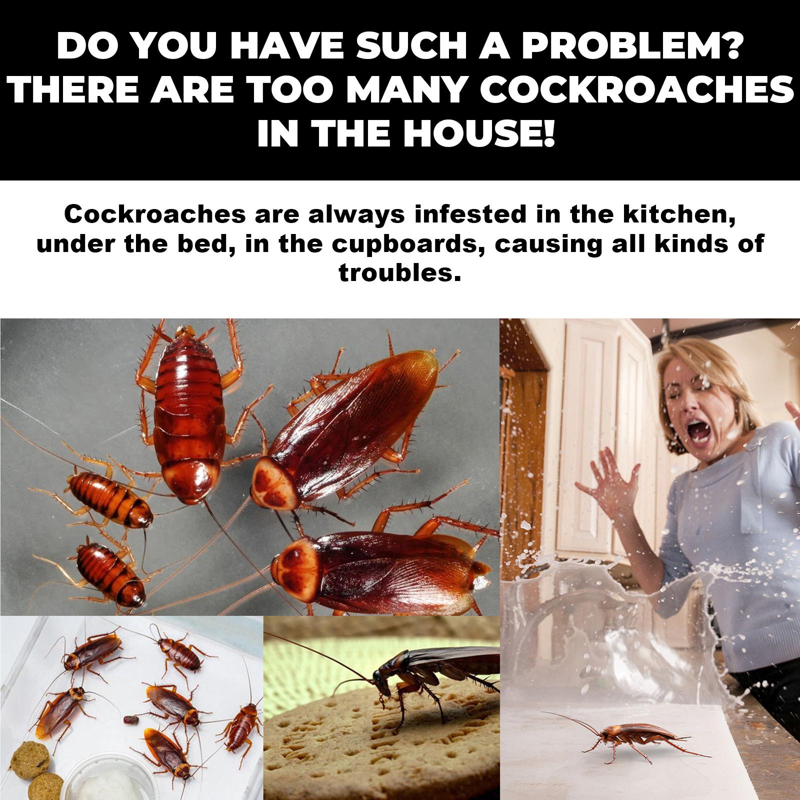 Cockroach bait station, insect repellent, cockroach bait for kitchen and home, cockroach extermination cleaner Cockroach bait station, insect repellent, cockroach bait for kitchen and home, cockroach extermination cleaner