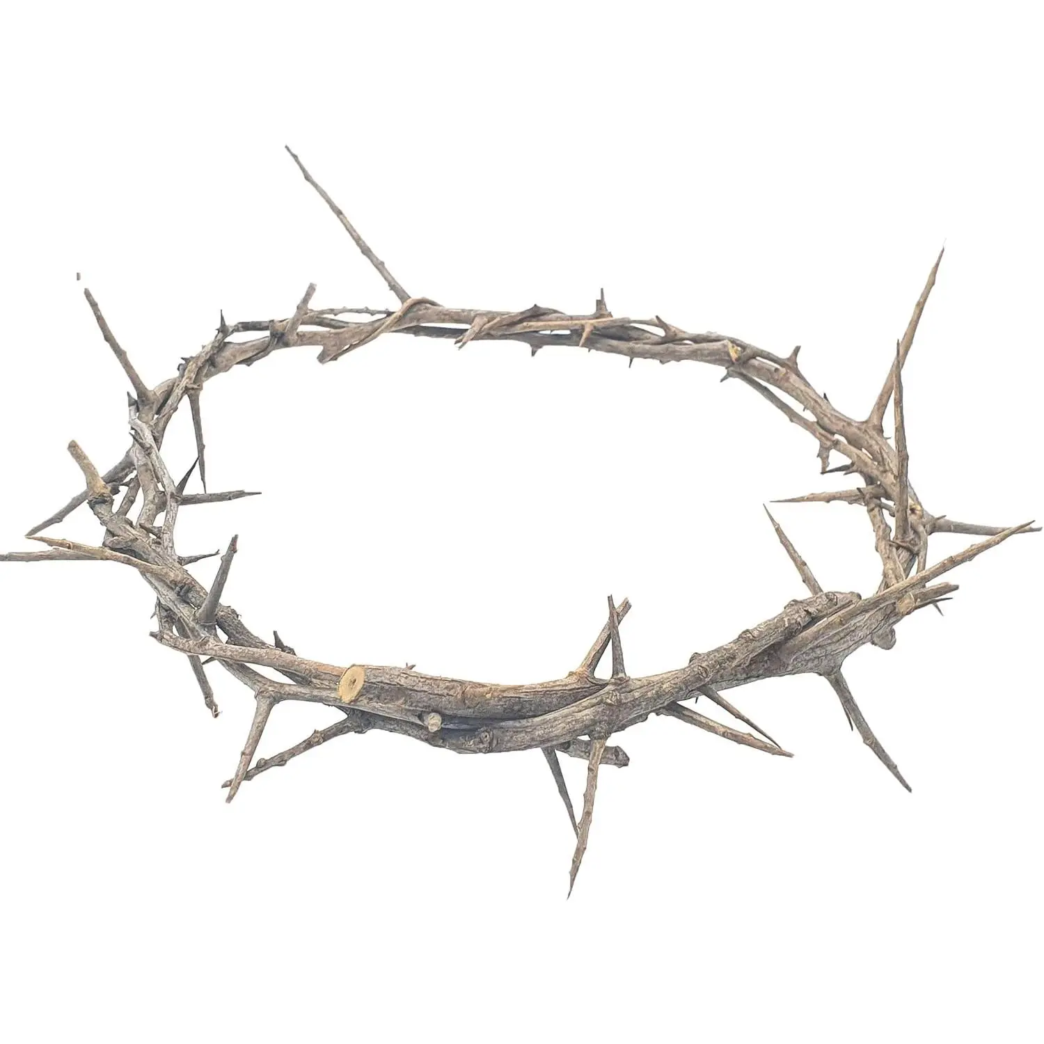 Jerusalem Authentic Biblical Lifesize Real Crown of Thorns with Box & Certificate | Religious Easter Wreath Home Décor Tree Topper | Jesus Christ Wall Decor Christmas Christian Gifts| HLG214fidget toys
