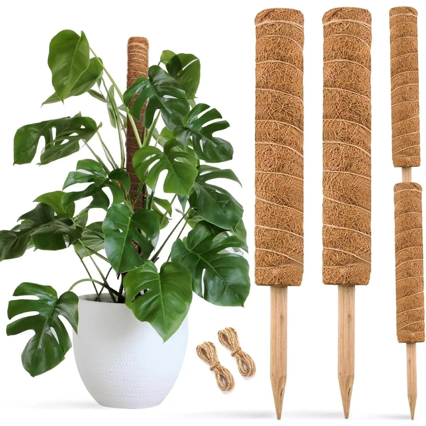 30 Inch Moss Pole for Climbing  - 2 Pack 15 Inch Coir Totem Pole  Support with 65  Garden Twist Tie for Monstera and Potted  to Grow Upwards…