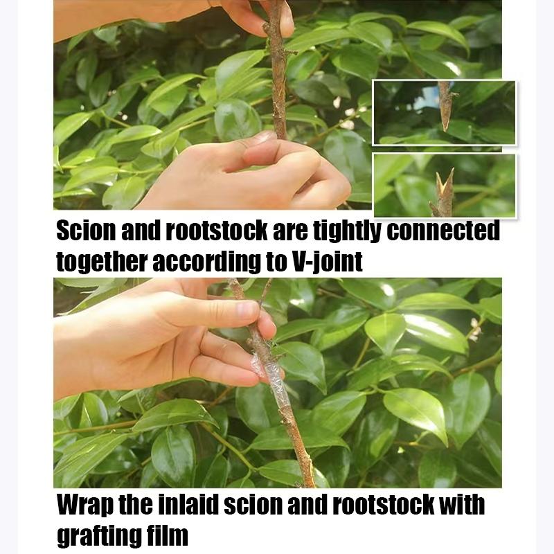 Multifunctional Pruning Tool, Professional Garden Pruning Tool, Garden Tools for Pruning, Cutting, Planting, Weeding, Seeding, Fertilizing, Garden Anvil Trimmer