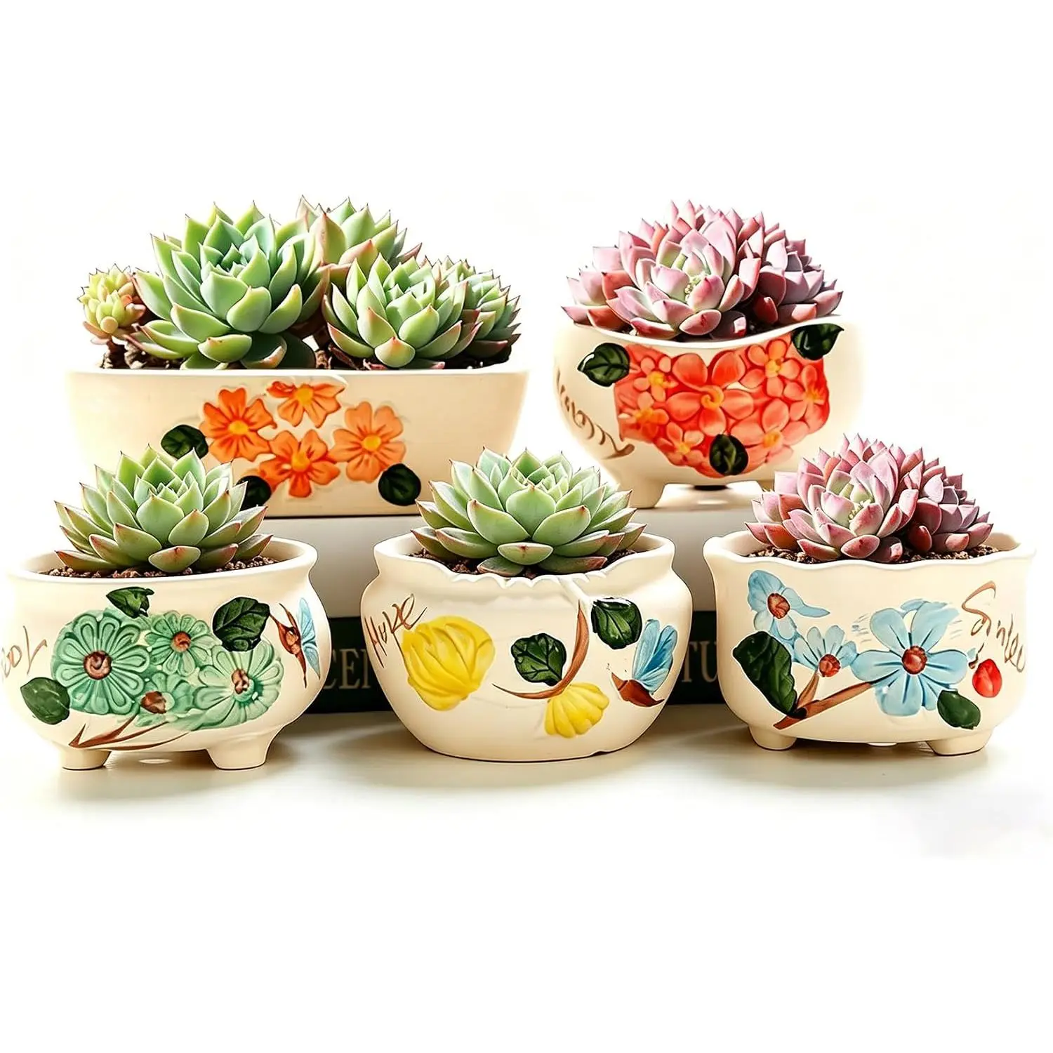 Small Ceramic Succulent Pots for Indoor , 3 Inches  Mini Flower Pots Set of 5, Round  Planters with Drainage Holes (White )