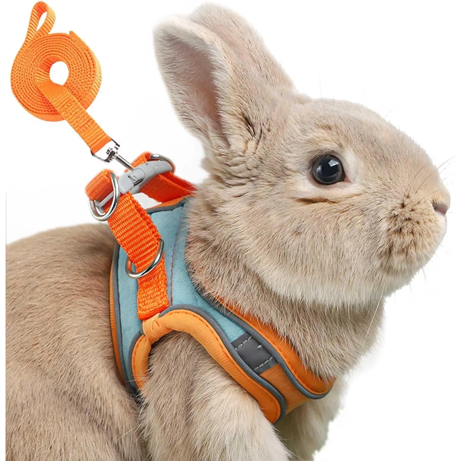 Rabbit Supplies Adjustable Reflective Fabric Bunny Harness Leash Set - Double Buckles Safety Gear for Outdoor Walks, Small Animal Vest Walking Accessory
