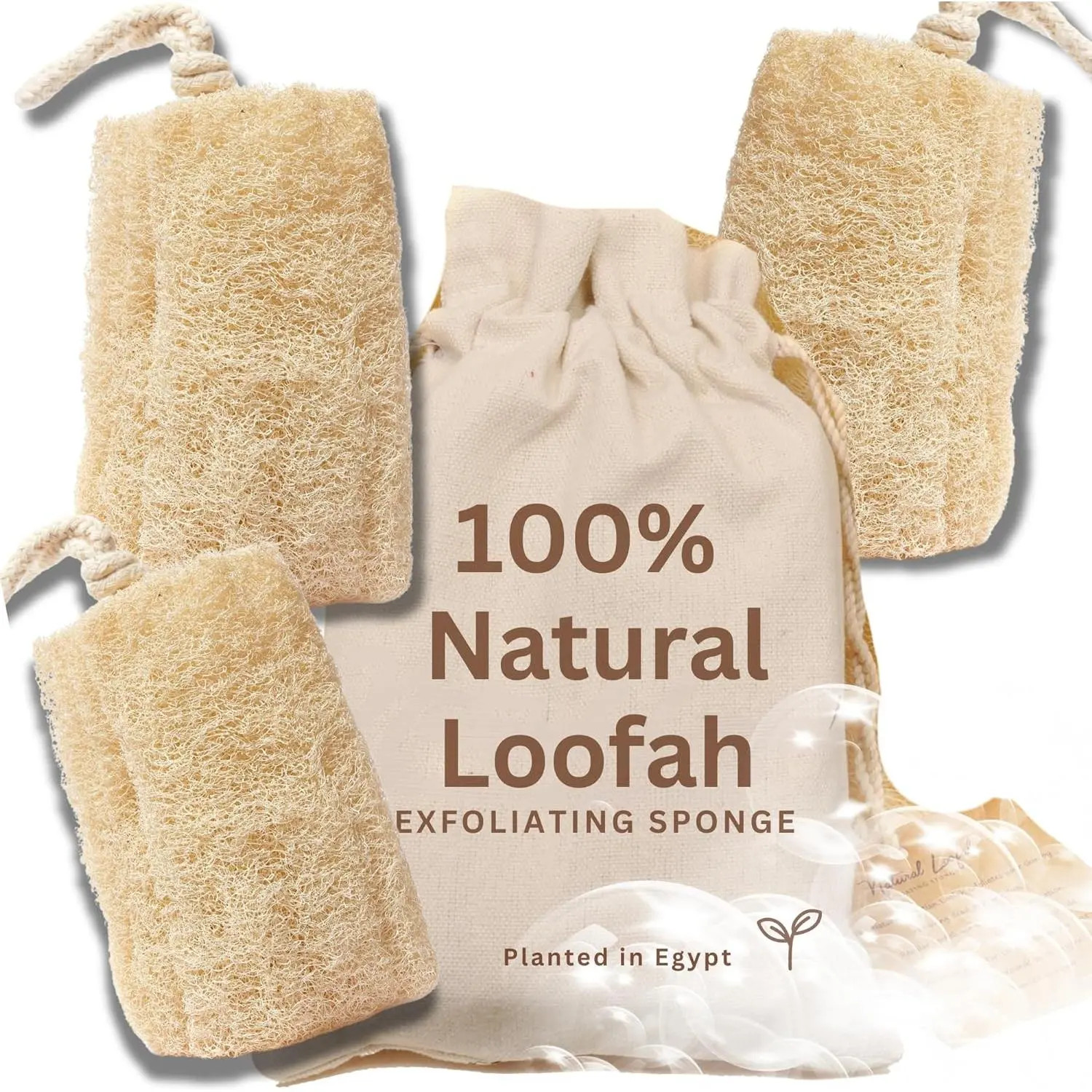All Natural Loofah Sponge, Pack of 3 Real Egyptian Bath & Shower Exfoliating Loofa Scrubber Sponges for Face, Back & Body, Eco Friendly, No Toxic Chemicals, 6" x 6" by Crafts of Egypt