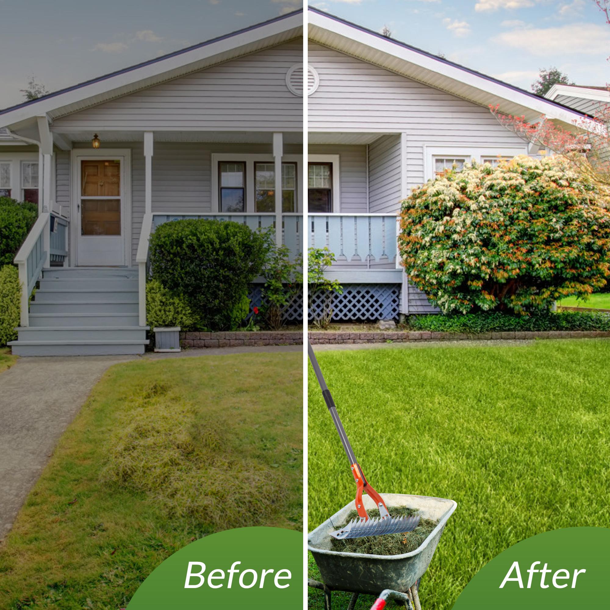 Thatch Rake, 15-Inch Lawn Thatching Rake, Robust Dethatcher Rake, Efficient Steel Metal Rake with Handle, Versatile Grass Grooming Rake for Cleaning Dead Grass