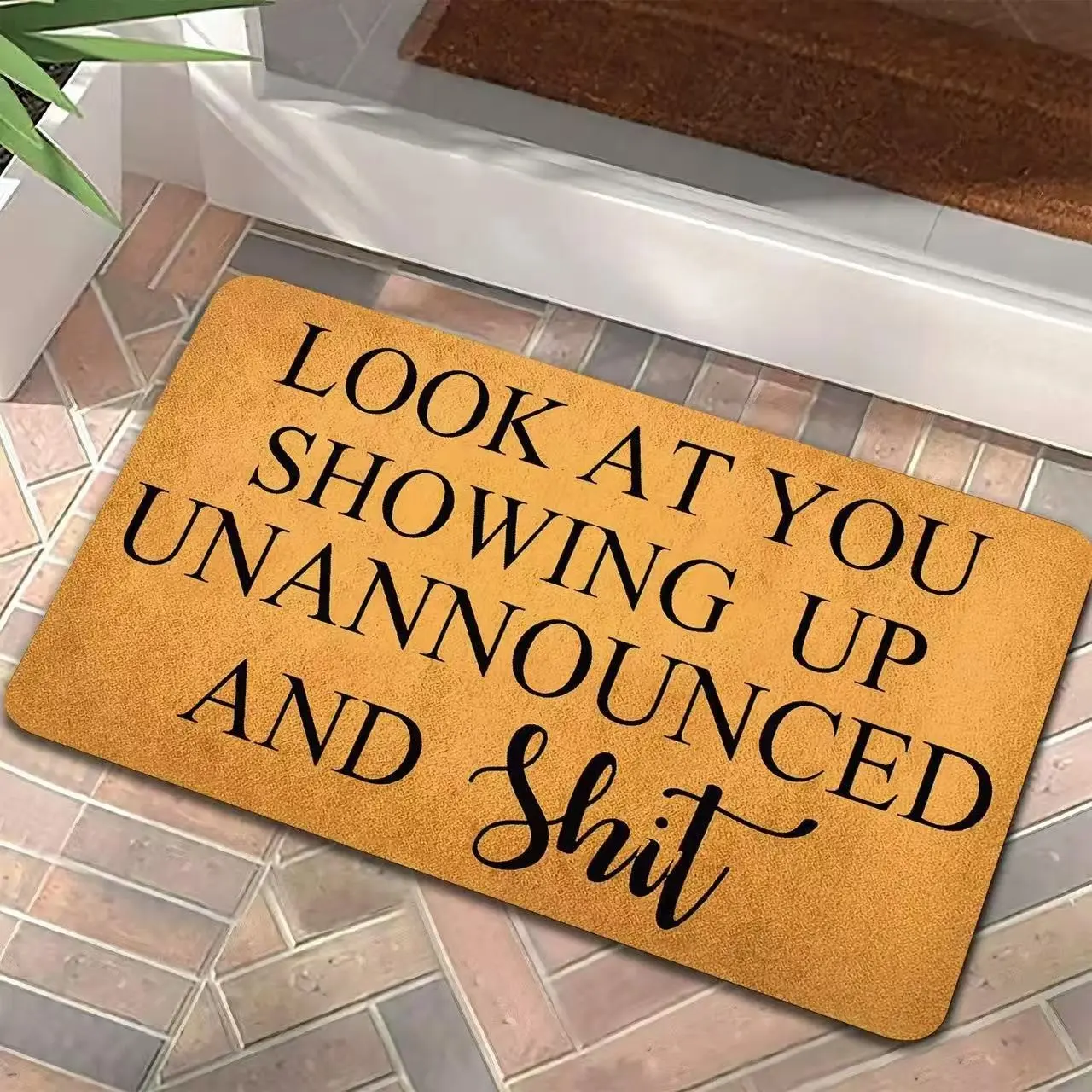 Thick Diatomaceous Earth Mat, Absorbent Quick-Dry Non-Slip Pad, Durable Easy-Clean Floor Protector for Living Room, Kitchen, Bathroom