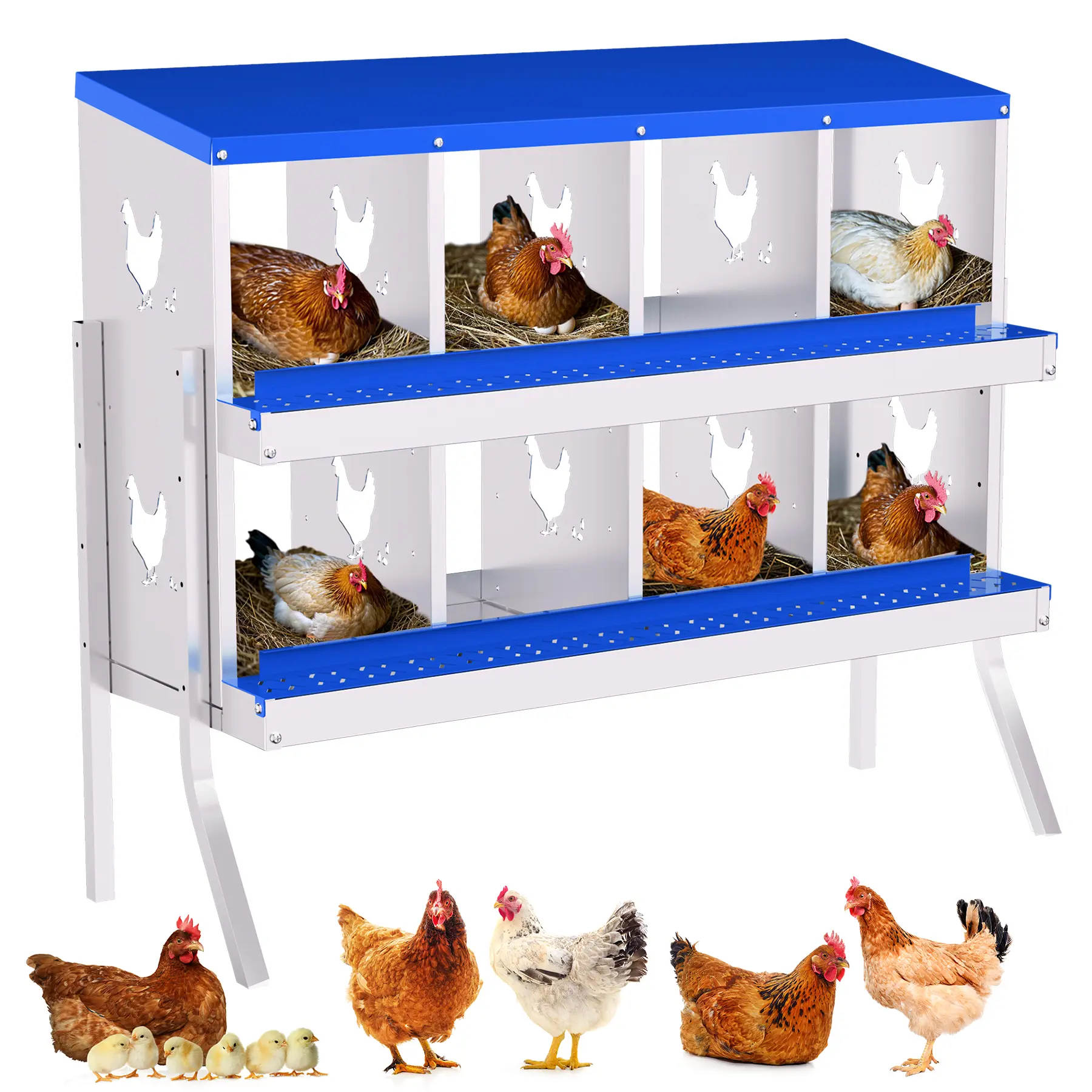 GAOMON Compartment Chicken Laying Box, Galvanized Steel Nesting Boxes for Chickens, 6/8/10 Compartments – Easy Egg Collection for Backyard & Farm Coops, Blue/Orange