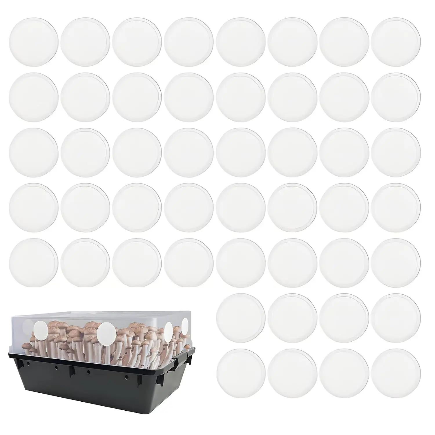 48 count 2.5" Monotub Adhesive Filter Disks , 2mm Thick Monotub Filter Pads for Mushroom Growing Supplies and Replace Filtration Pads