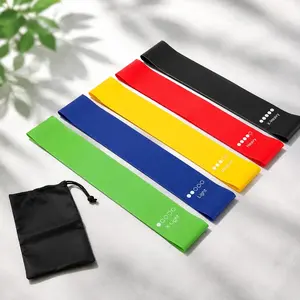 Resistance Band Set, 5 Counts/set Elastic Exercise Loop Bands with Carry Bag, Fitness Band for Booty and Legs, Workout Bands, Stretching Gear, Fitness Equipment for Home Gym