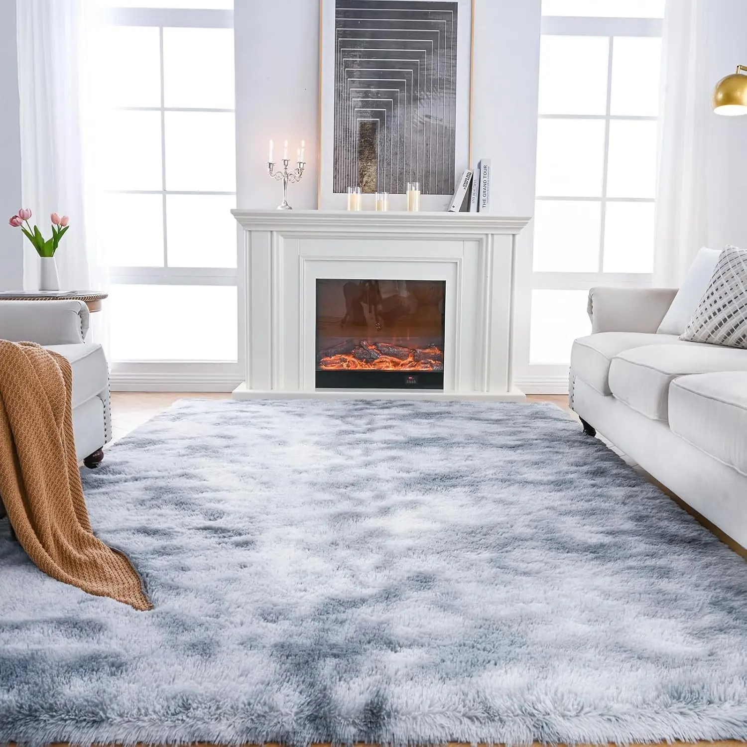 Shag Area Rugs for Bedroom Living Room,Ultra Soft Fluffy Area Rugs for Dorm, Indoor Carpet Nursery Rugs for Kids Room Home Decor, Shaggy Area Rugs