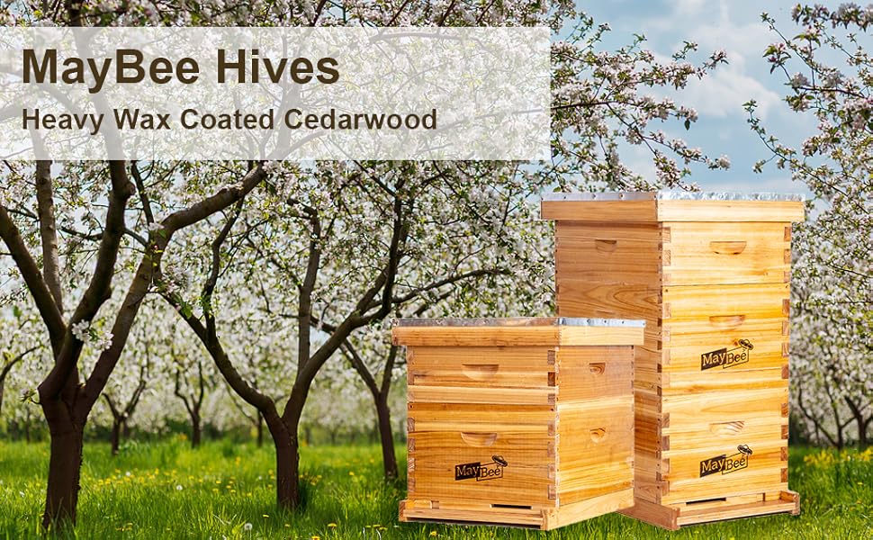 8-Frame Beehive Box Langstroth Medium Super Bee Box for Sale Wax Coated Bee Hives Includes Wooden Frames & Waxed Foundations