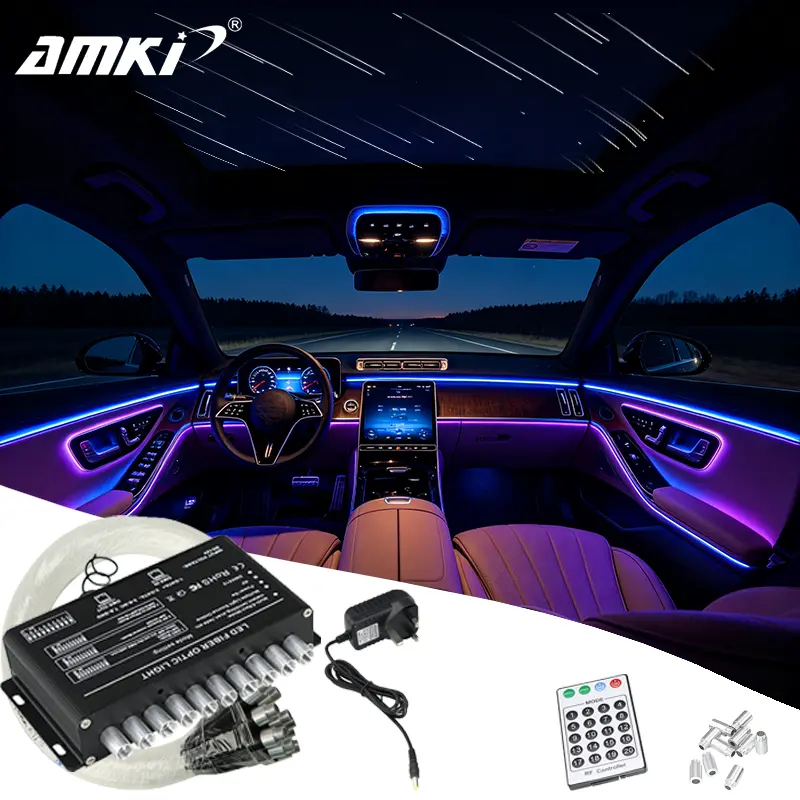 5W 10 LED Car Starry Sky Light Meteor Effect APP Shooting Star Fiber Optic Lights RF Control PMMA Fiber Optic Cable LED Lighting