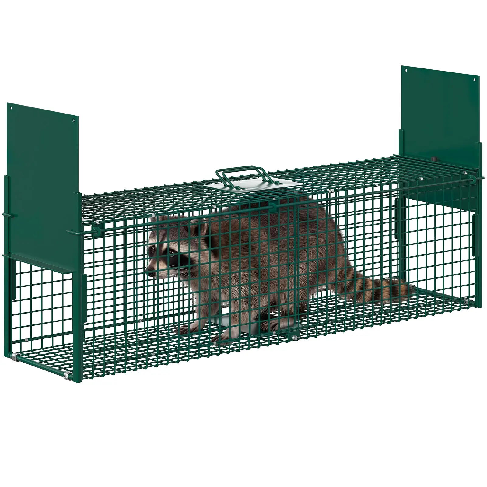 Heavy-Duty Live Animal Trap Cage – Collapsible Steel Construction, 2-Door Design, Sensitive Trigger, Humane Release – Ideal for Raccoons, Stray Cats, Rabbits, Skunks, Foxes, Armadillos, Groundhogs & Similar Sized Animals – Easy to Carry & Assemble