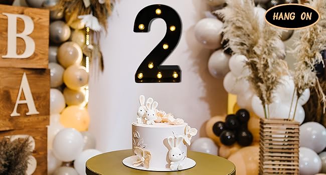 LED Marquee Numbers with Marquee Look, 2026 Battery-Powered Lighted Decor, 2 Black Small Light Up Pieces for Birthday, Home & Party Supplies