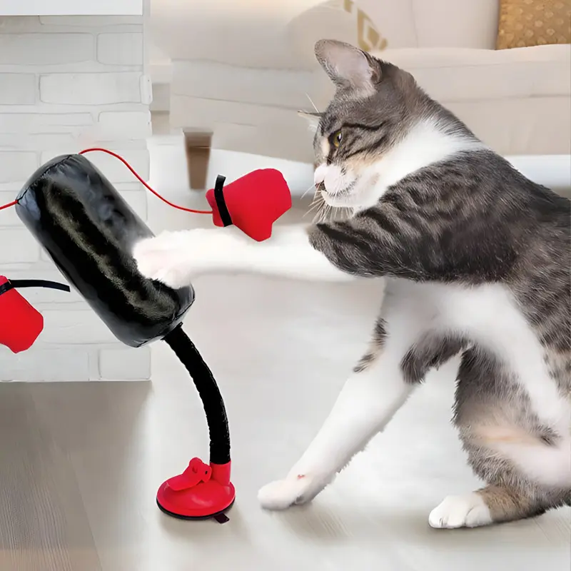 Multifunctional cat boxing toy, interactive game toy for cats