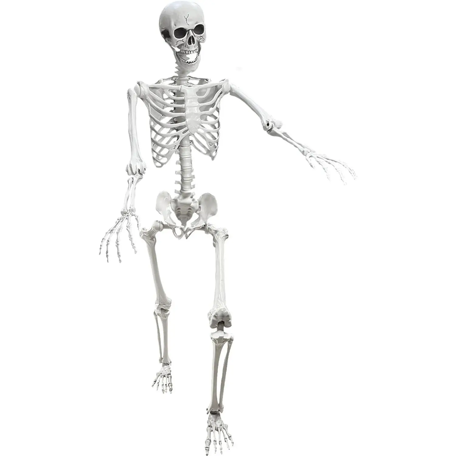 5.4Ft Posable Life-Size Adult Human Skeleton Prop, Plastic Human Bones with Movable Joints, for Halloween Decoration