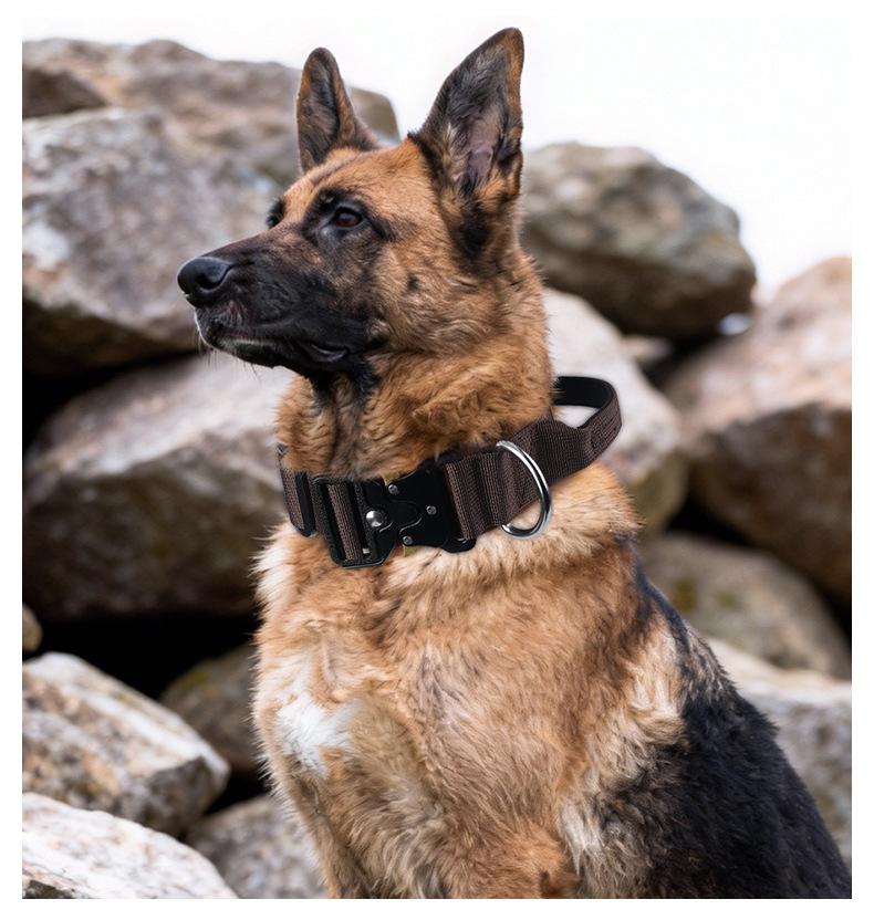 Premium Heavy-Duty Nylon Dog Collar - Extra Wide, Padded, with Stainless Steel Buckle Adjustable Pet Collar, Durable Dog Collar for Medium Large Dogs Cats for Outings, Dog Supplies, Pets Supplies, Christmas Gift